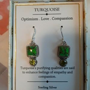 NWT beautiful SS genuine stone Earrings.
